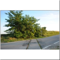 2010-07-04 Lokalbahn Stammersdorf-Zistersdorf 03.jpg